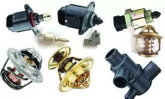 常德金旋風(fēng)比亞迪